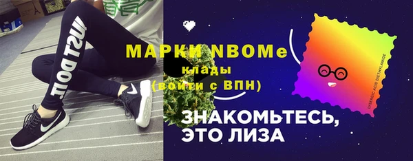 крисы Алексин