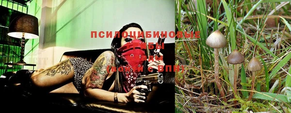 ALPHA-PVP Арсеньев