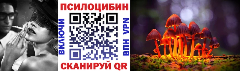 магазин продажи   Рузаевка  Псилоцибиновые грибы GOLDEN TEACHER 